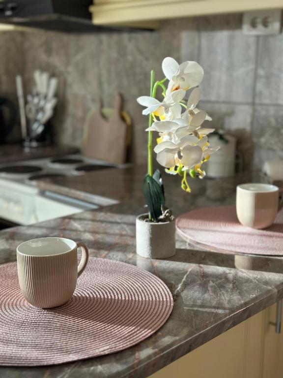 Adel'S Apartman Szabadka Kültér fotó