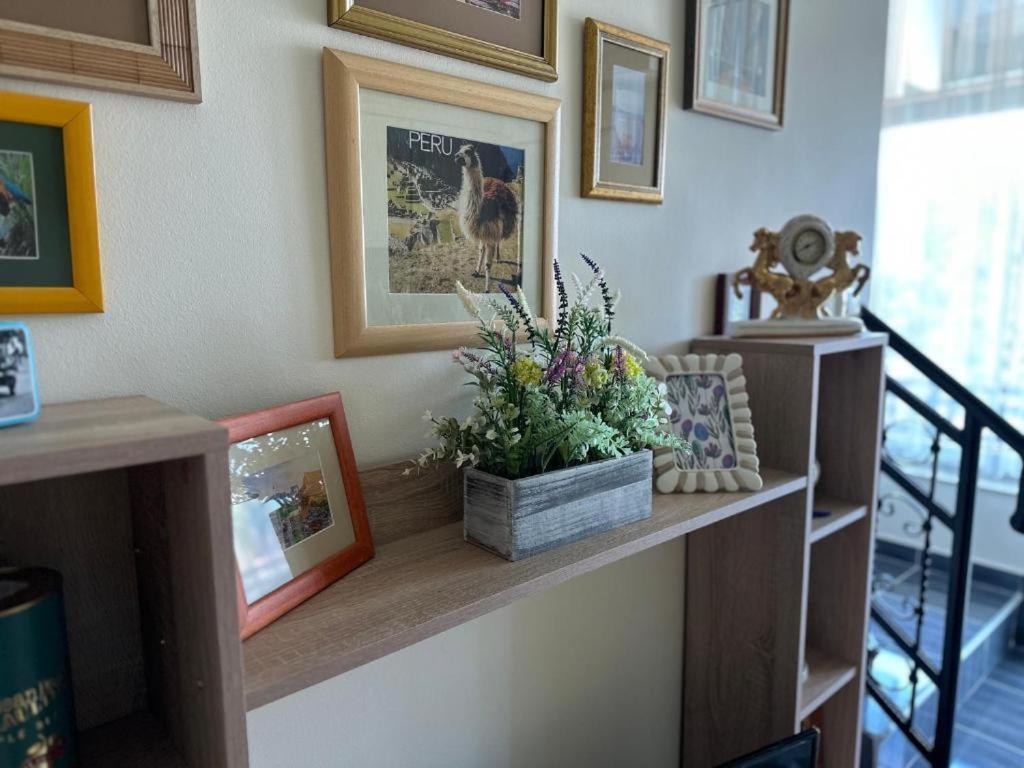 Adel'S Apartman Szabadka Kültér fotó