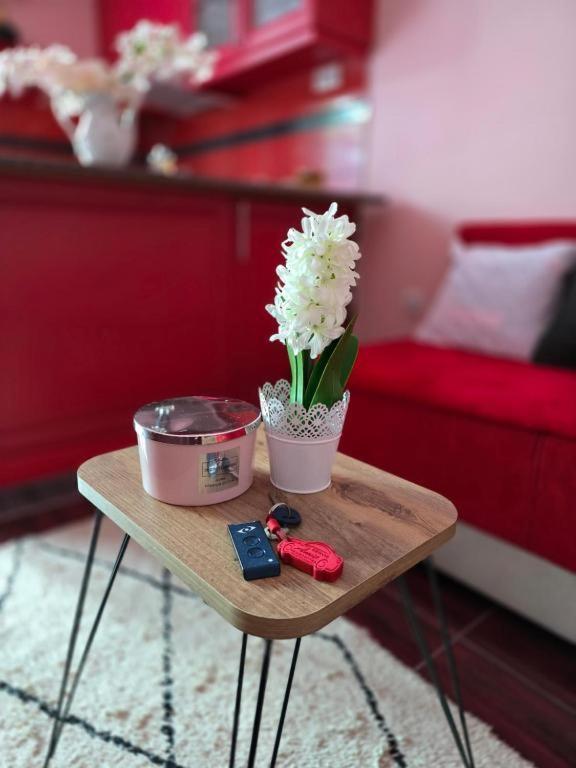 Adel'S Apartman Szabadka Kültér fotó
