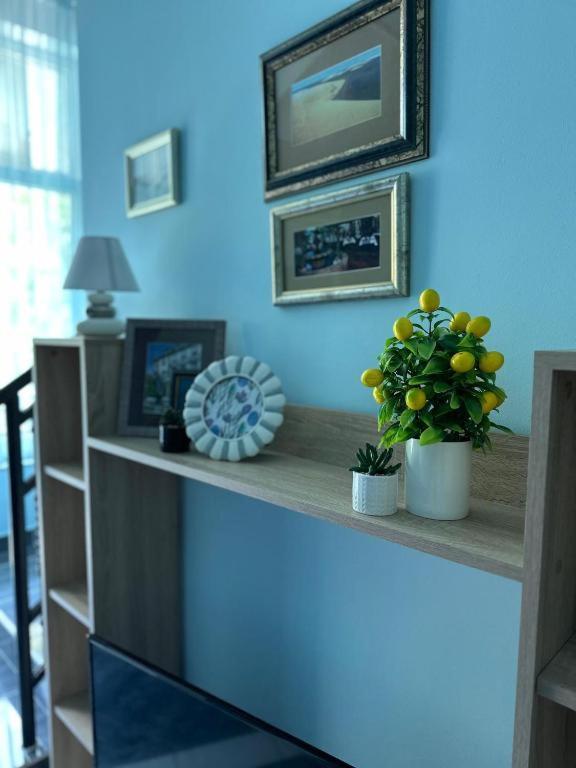 Adel'S Apartman Szabadka Kültér fotó